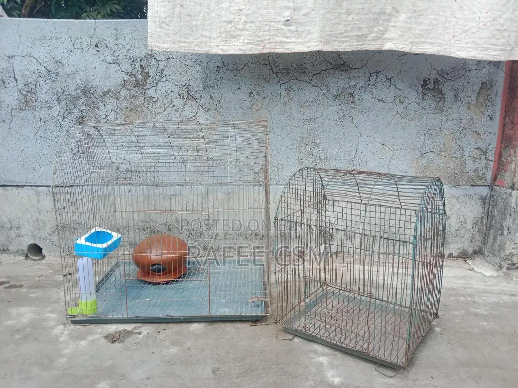 দুটি খাচা সেল হবে