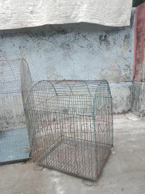 দুটি খাচা সেল হবে