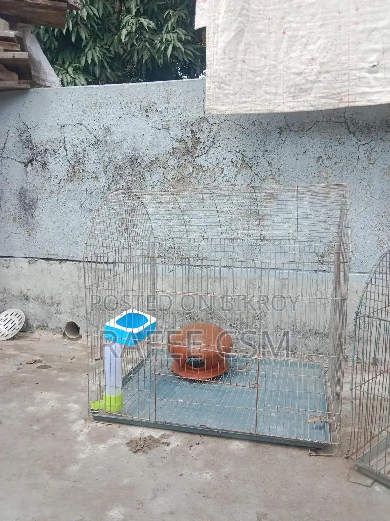 দুটি খাচা সেল হবে