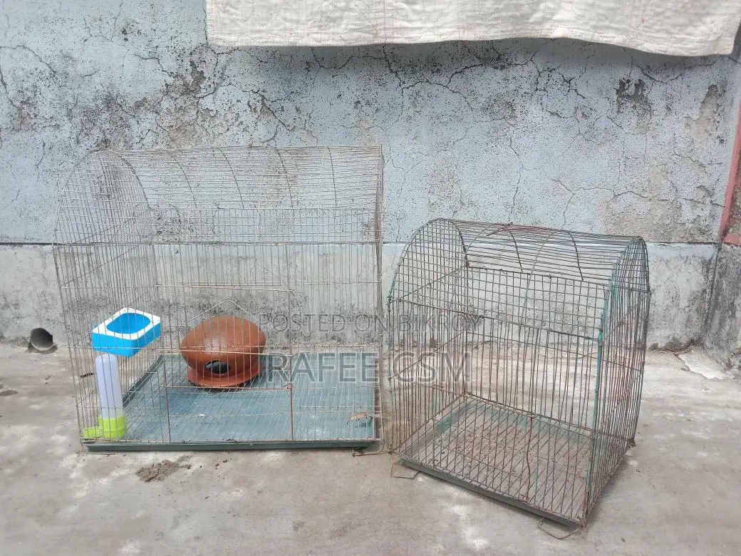 দুটি খাচা সেল হবে