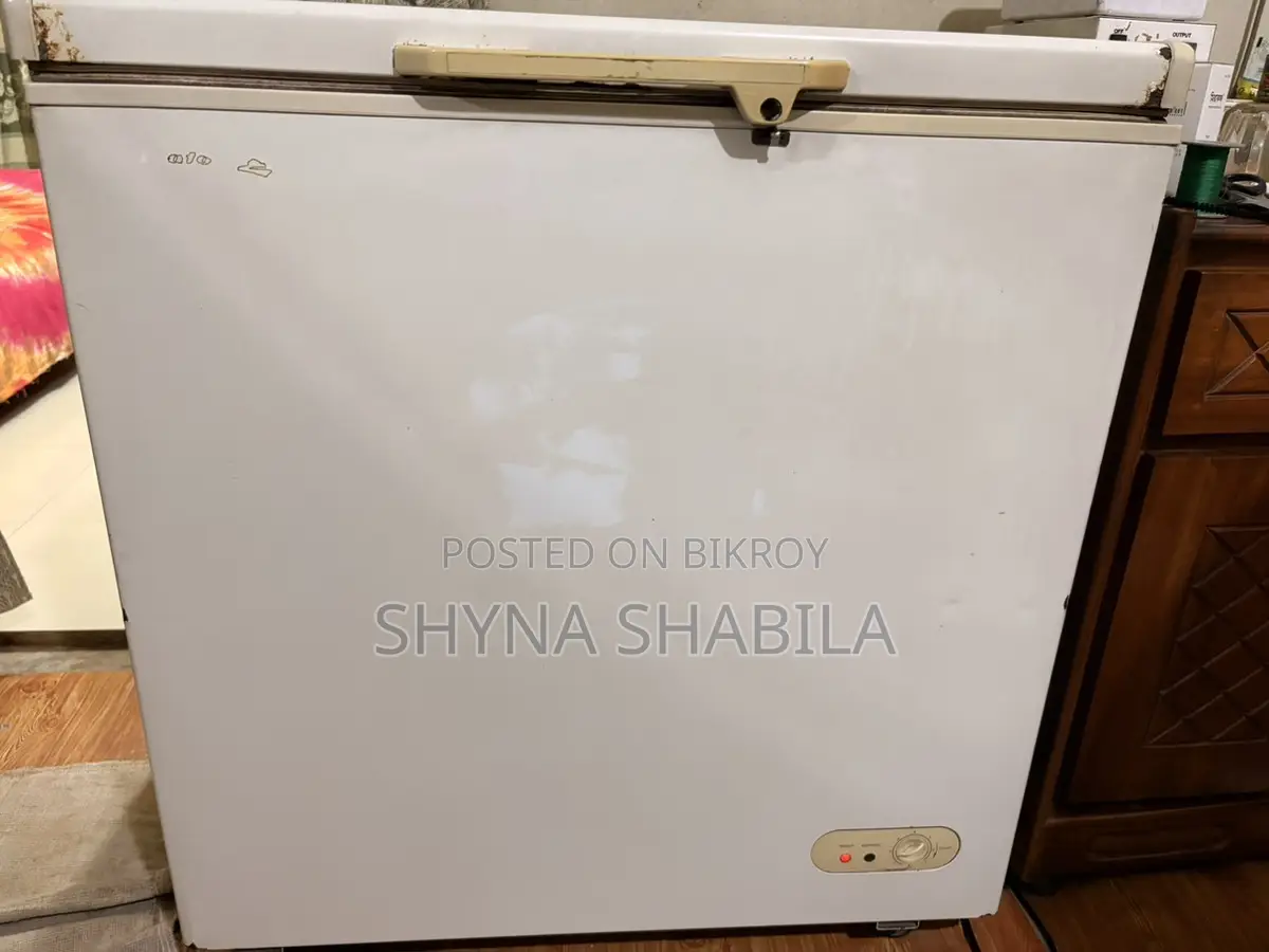 Kelvinator Deep Freezer