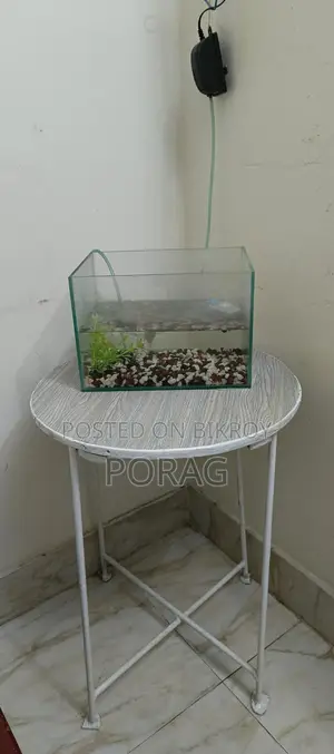Aquarium Setup with Table