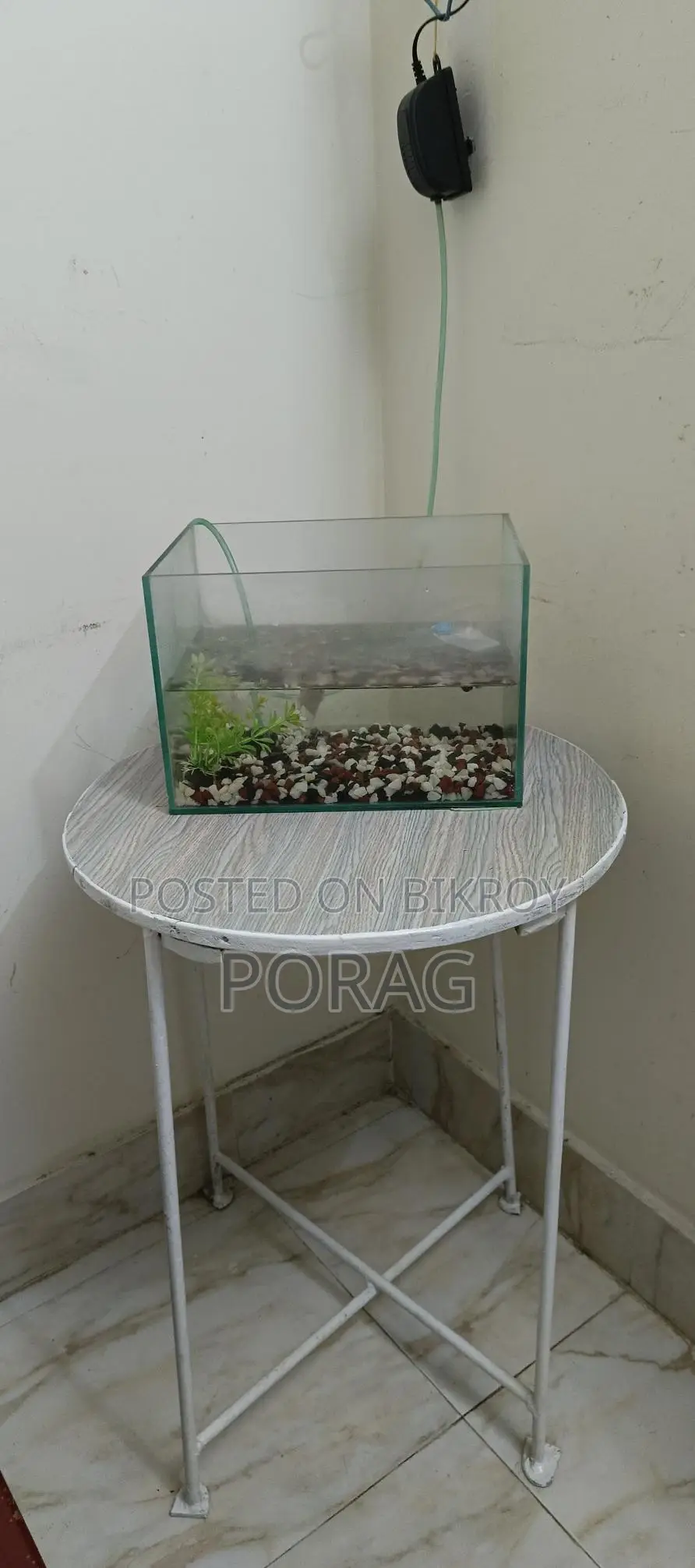 Aquarium Setup with Table
