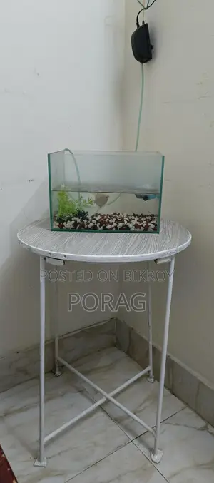 Aquarium Setup with Table