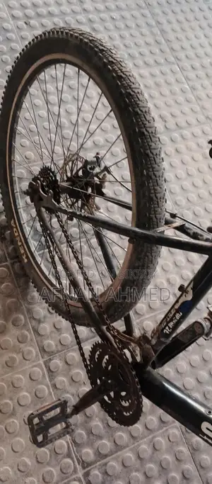 Bicycle for Sale
