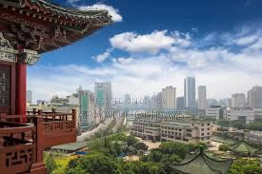 China Tourist & Business Visa