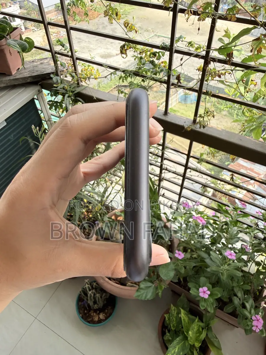 Apple iPhone 11 (Used)