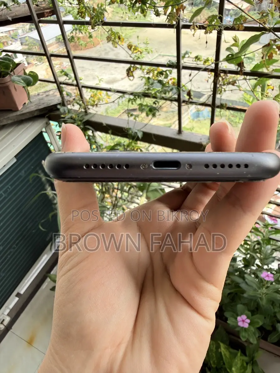 Apple iPhone 11 (Used)
