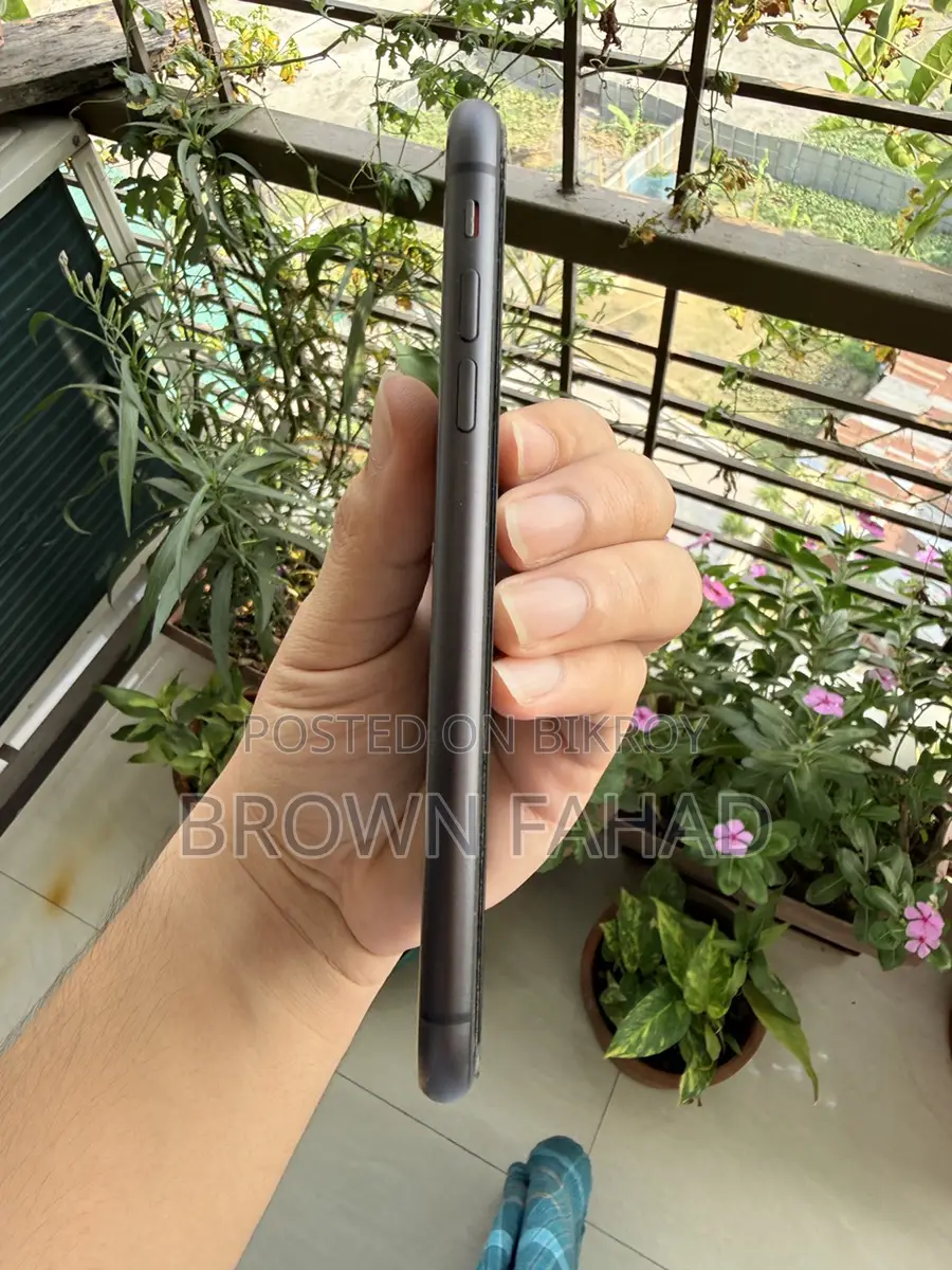 Apple iPhone 11 (Used)