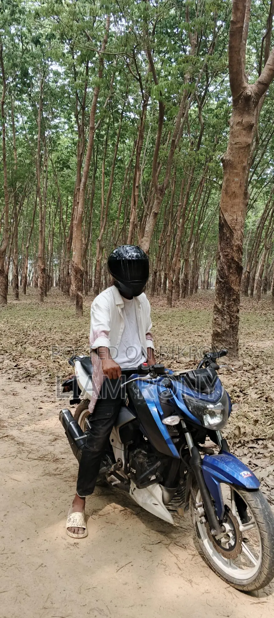 TVS Apache RTR 4v 2019