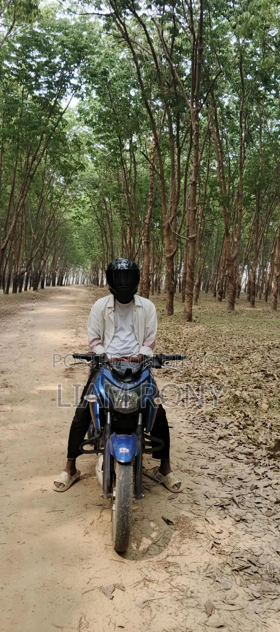 TVS Apache RTR 4v 2019