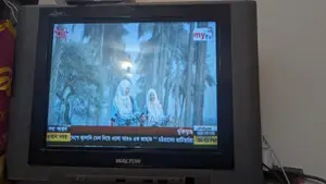 Walton LCD TV
