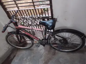 Aluminum Body Gear Cycle