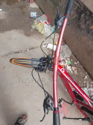 Bicycle for Sale
