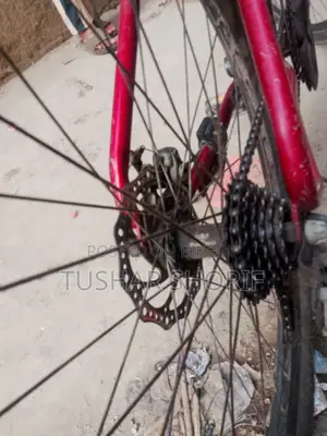 Bicycle for Sale