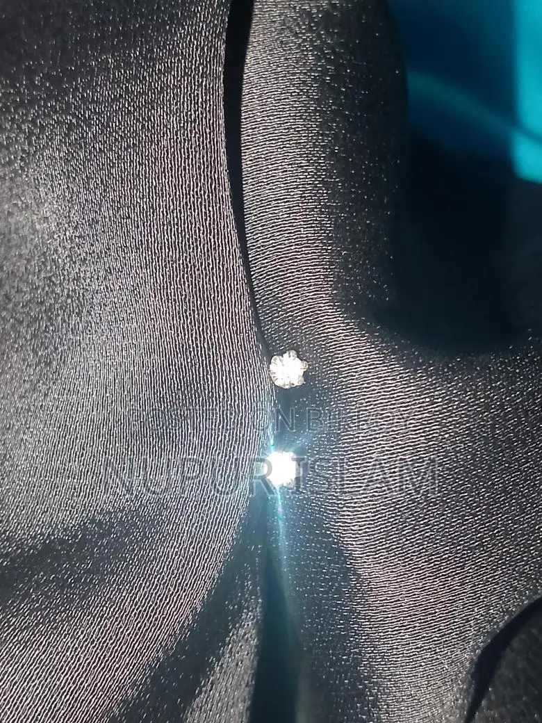 Italian Silver Ear Studs