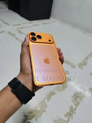 Apple iPhone 13 Pro Max 256 gb (Used)