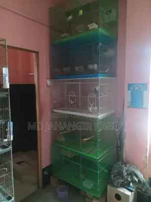 অরজিনাল চাইনিজ খাঁচা