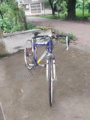 Premium Road Bike for Sale