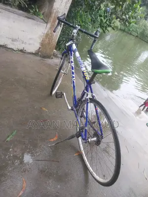 Premium Road Bike for Sale