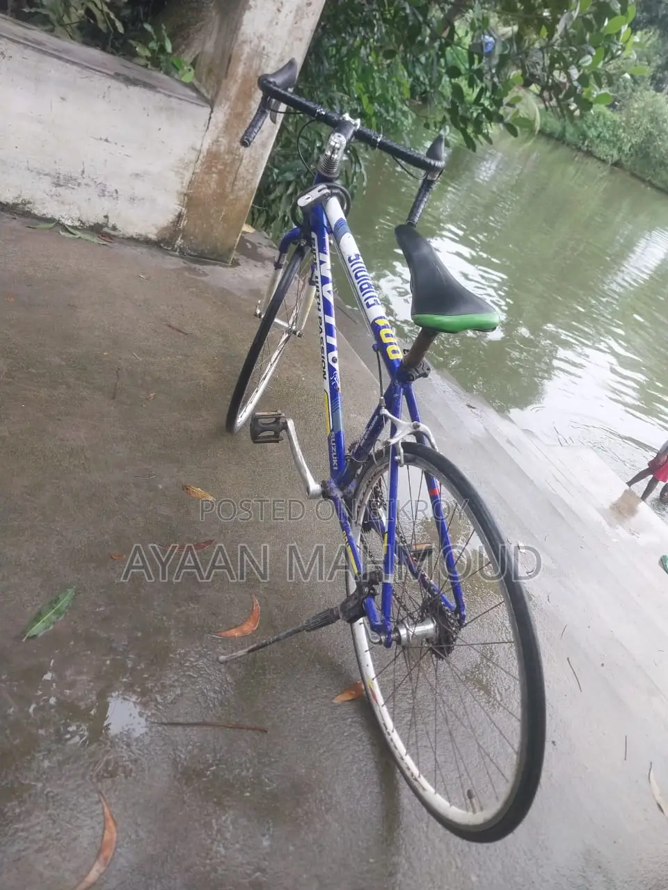 Premium Road Bike for Sale