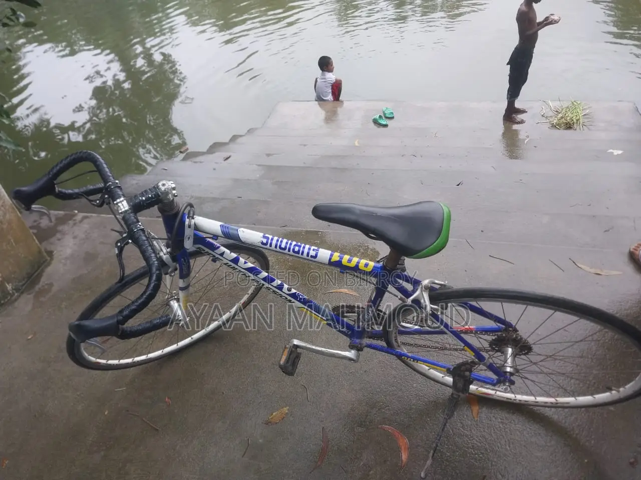 Premium Road Bike for Sale