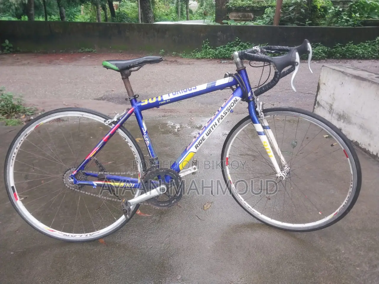 Premium Road Bike for Sale