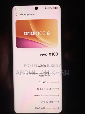 Vivo X100 (Used)