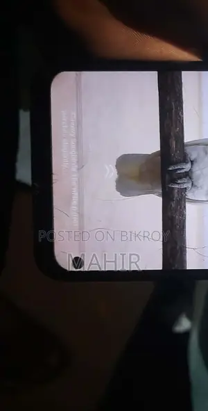 Vivo Y11 (Used)