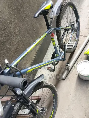 Bicycle for Sale