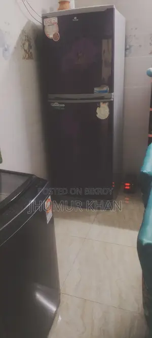 Walton 20 Cft Freeze Used