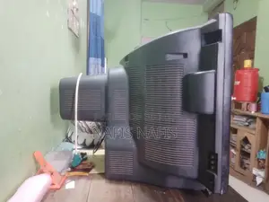 ২৪ ইঞ্চি টেলিভিশন