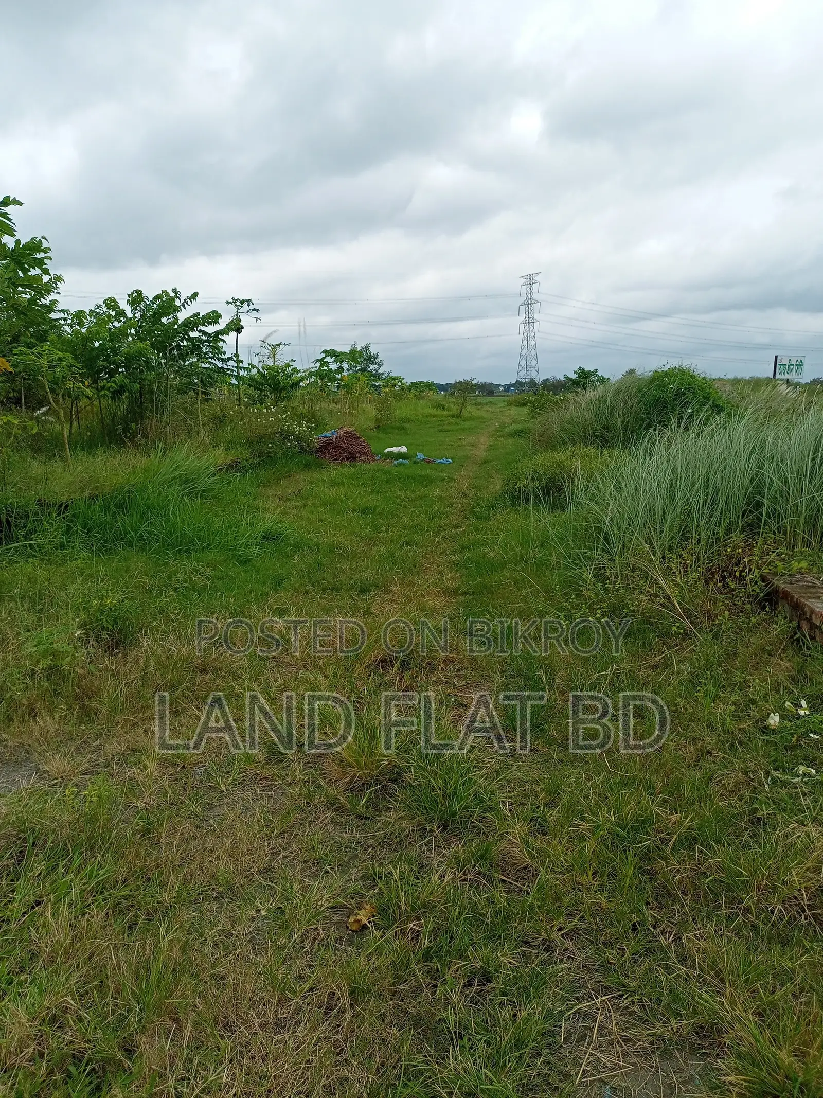 Natural Environment @ 6 Katha Land for Sale, Mikhail Road