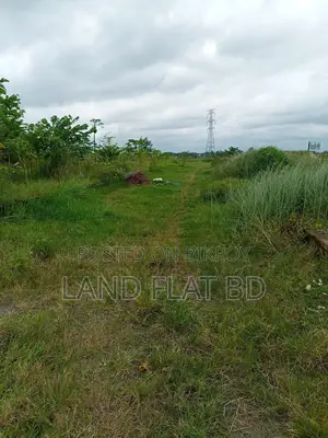 Natural Environment @ 6 Katha Land for Sale, Mikhail Road