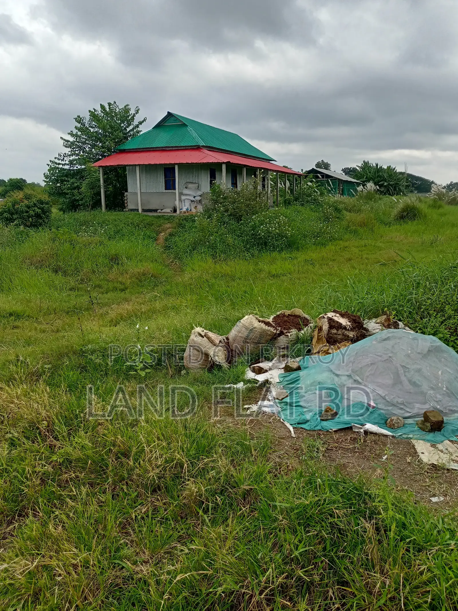 Natural Environment @ 6 Katha Land for Sale, Mikhail Road