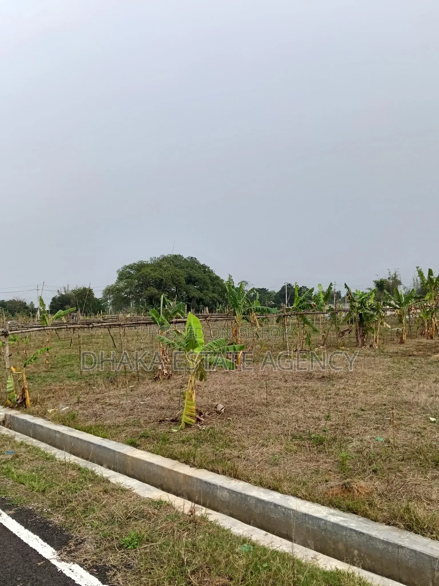Sector-13, 54 Feet Road 5 Katha Plot Sale