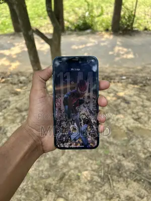 Apple iPhone 12 (Used)