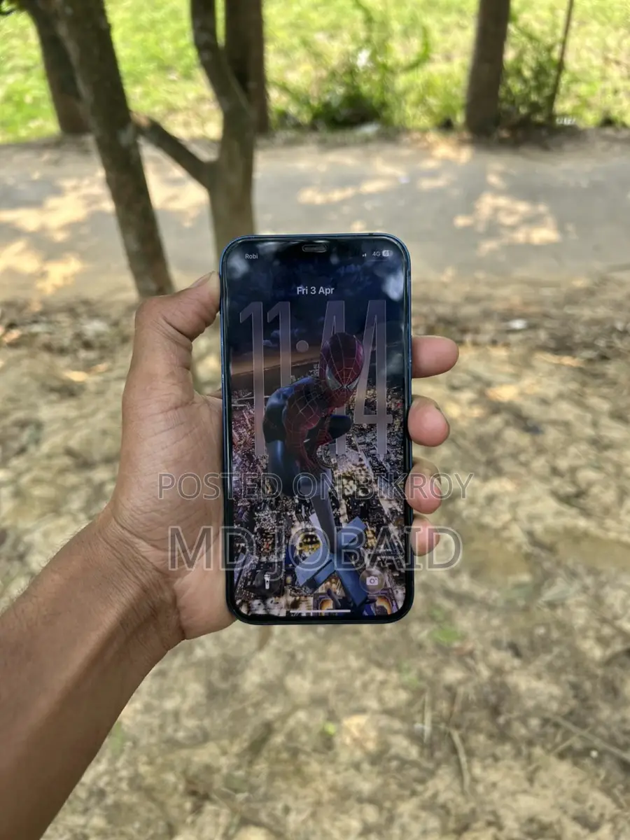 Apple iPhone 12 (Used)