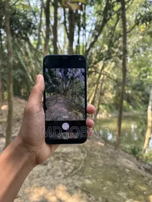 Apple iPhone 12 (Used)