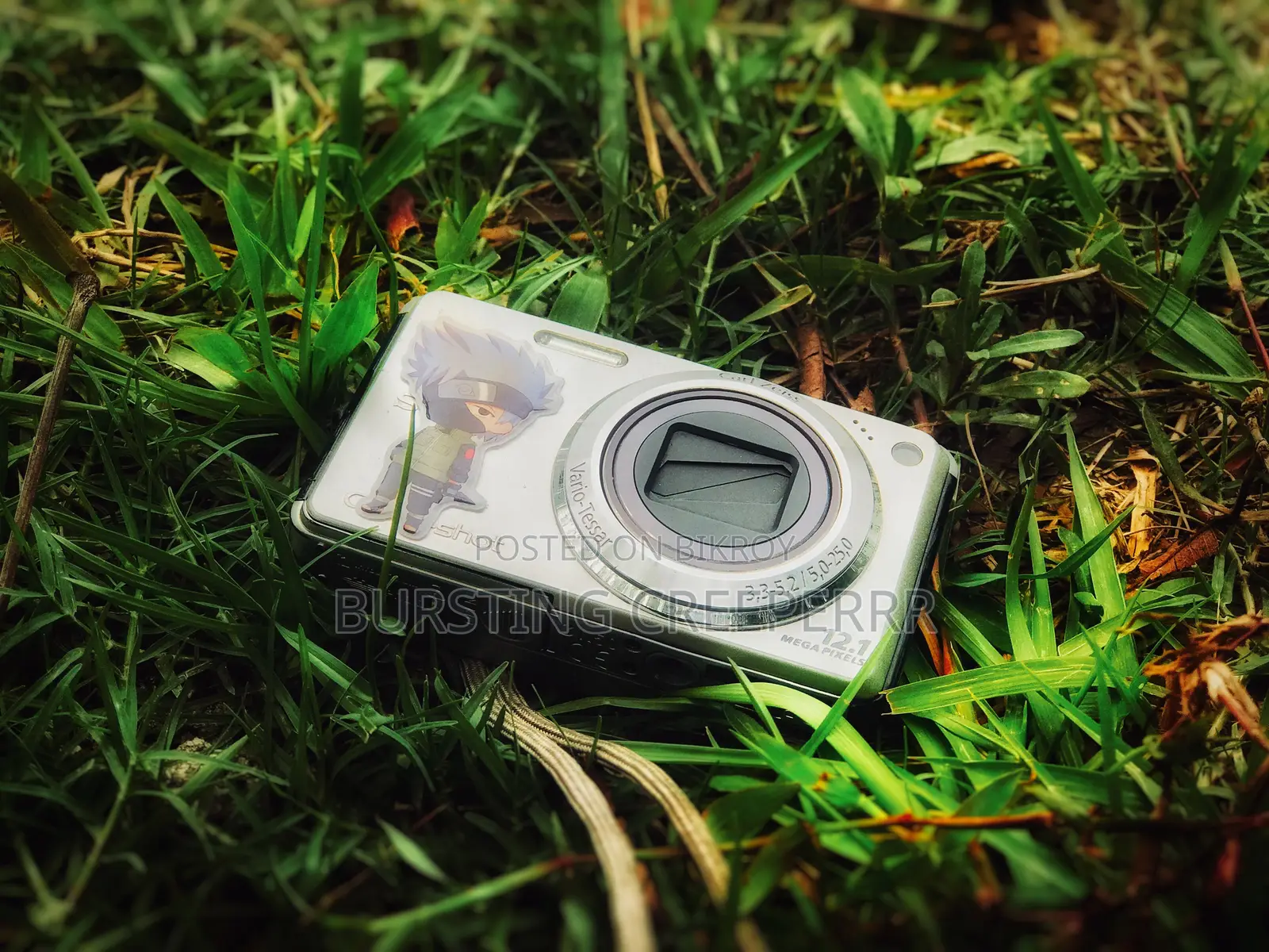 Cybershot DSC W290