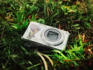 Cybershot DSC W290