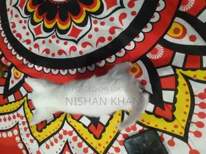 হাই কোয়ালিটির হোয়াই ফুল ক্রস ক্যাট সেল হবে