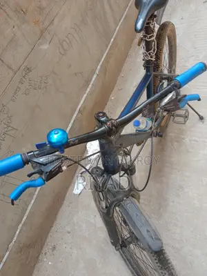 Mustang Bicycle for Sale