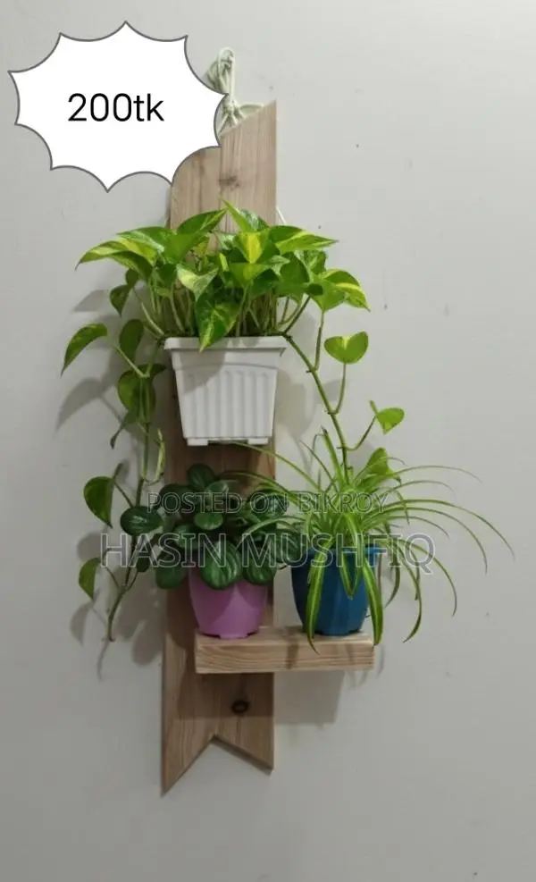 Plant Shelf