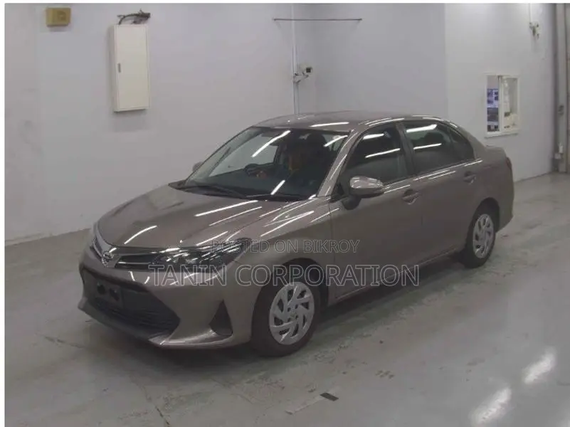 Toyota Axio Non Hybrid EX Bronze 2022