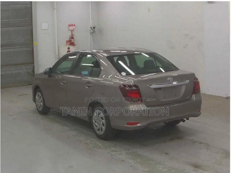 Toyota Axio Non Hybrid EX Bronze 2022