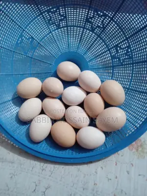 100% Pure Desi Chicken Eggs