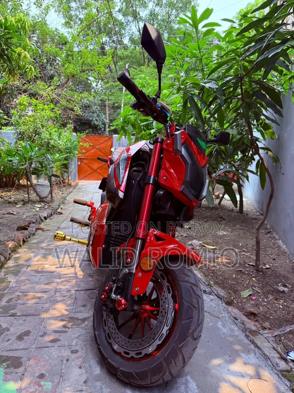 Sports E-Bike 2025
