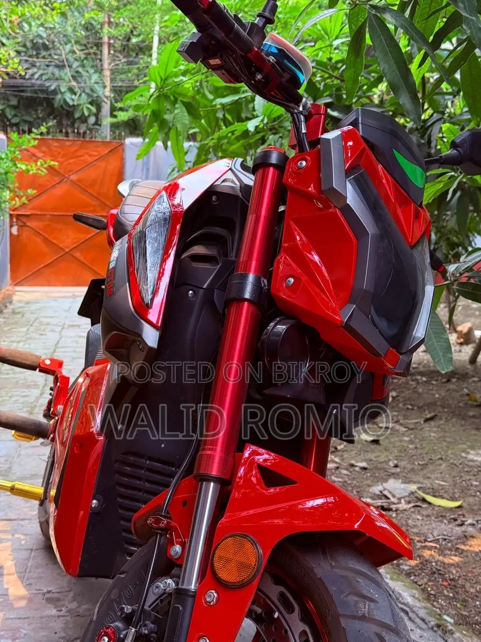 Sports E-Bike 2025