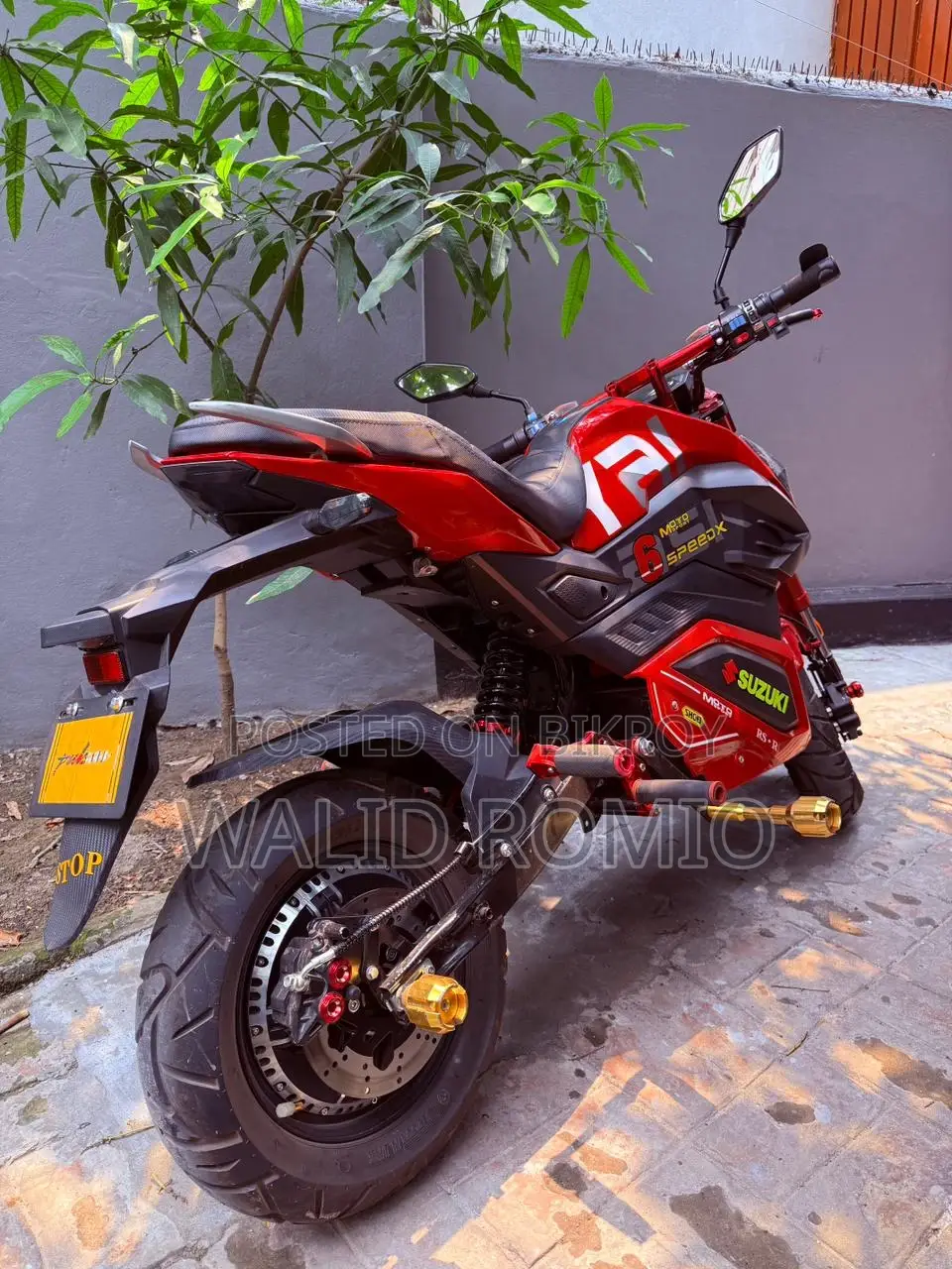 Sports E-Bike 2025